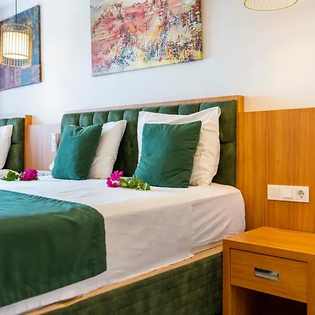 Mogons Exclusive Kalkan