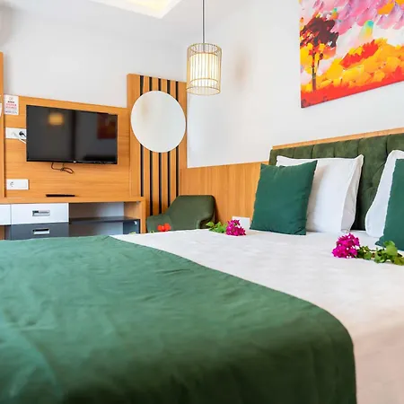 Mogons Exclusive Kalkan