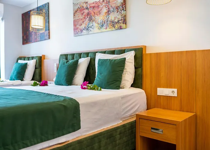 Mogons Exclusive Kalkan